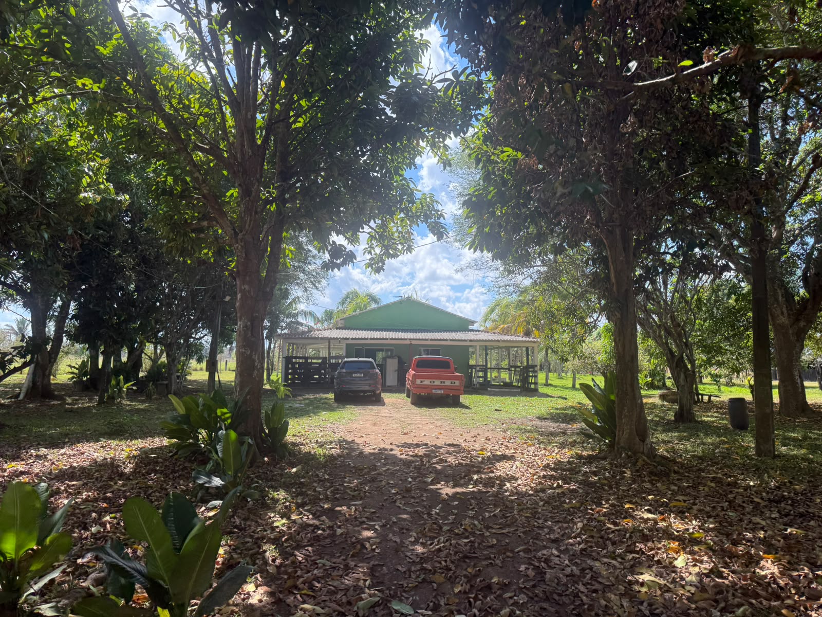 Entrada arborizada do rancho