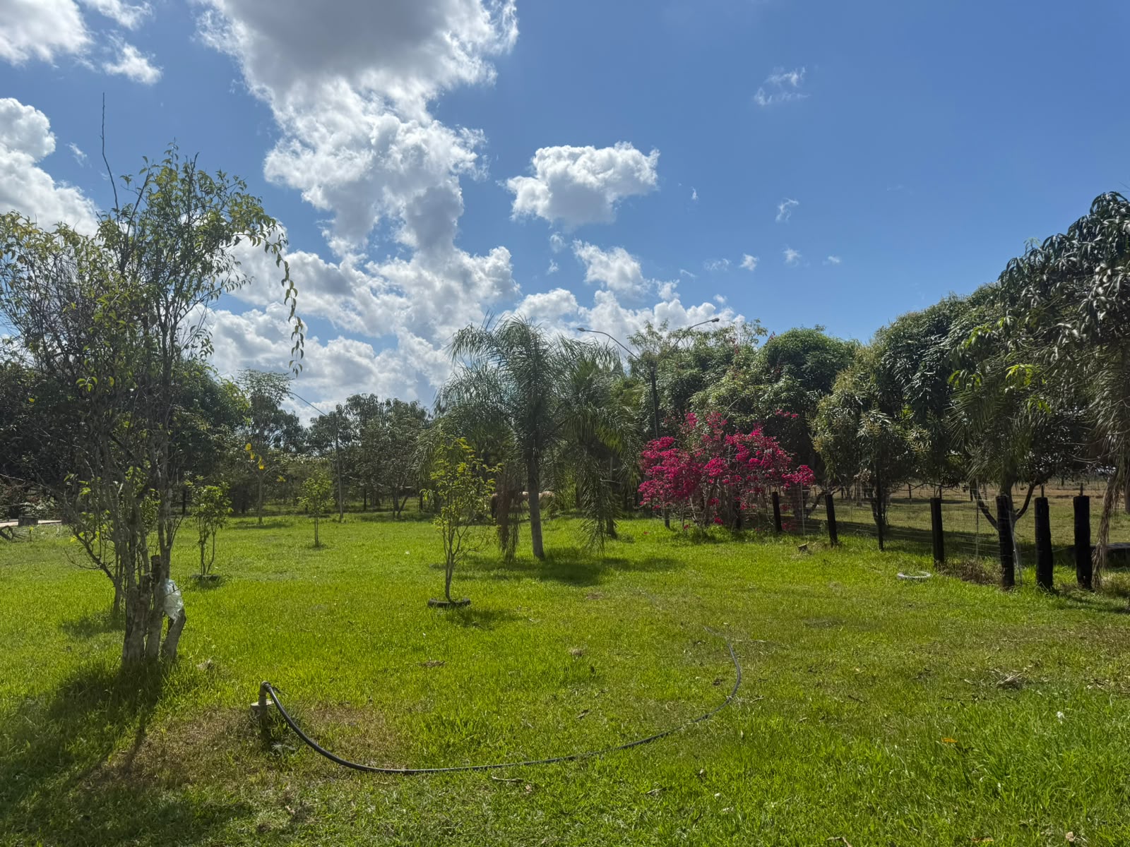 Vista do Rancho Vilela